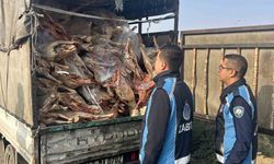 Gaziantep’te kamyonet kasasında kilolarca bozuk et ele geçirildi