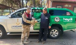 Gaziantep’te yaralı halde bulunan kartal, tedavi altına alındı