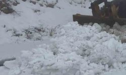 Gercüş'te kar nedeniyle 5 köy yolu ulaşıma kapandı