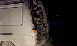 Gönen ve Manyas sınırında odun hırsızlığına suçüstü