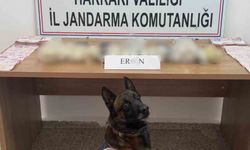 Hakkari'de 5 kilo 815 gram eroin ele geçirildi