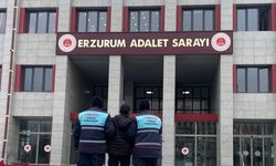 Hakkında 17 yıl hapis cezası bulunan şahıs Jandarma ekiplerince yakalandı