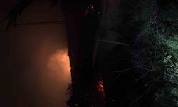 Hatay’da çıkan otluk yangını söndürüldü