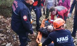 Hayvan otlatırken kayalıklardan düştü