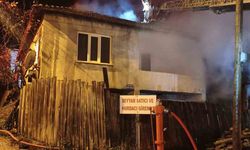 Bursa'da samanlıkta başlayan yangın eve sıçradı