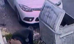 İSKİ çalışanından tepki çeken görüntüler: Önce boruyu kesti, sonra tamire geldi