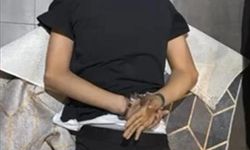 Yeni nesil suç örgütlerine dev operasyon: 42 gözaltı