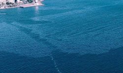 İzmir Körfezi’nde çevre kirliliği