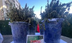 İzmir’de tek operasyonda 3 milyon uyuşturucu hap ele geçti: 46 tutuklama