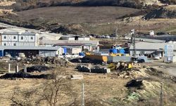 Kamyon şoförü gazoz şişesindeki antifrizi içmesi sonucu ağır yaralandı