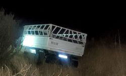 Kamyonet şarampole devrildi: 1 yaralı