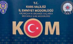 Kars merkezli 3 ilçede silah tacirlerine operasyon: Çok sayıda silah ve mühimmat ele geçirildi
