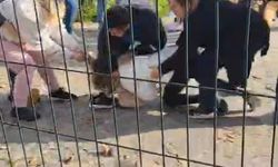 Kartal Anadolu Adliyesi önünde iki aile arasında yumruk yumruğa kavga çıktı