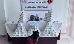 Kastamonu'da binlerce hap ve uyuşturucuyla yakalanan şahsın yargılanmasına başlandı