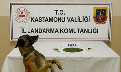 Kastamonu’da uyuşturucu operasyonu: 1 tutuklama