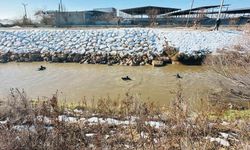 Kayıp sürücüyü arama çalışması devam ediyor