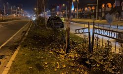 Köpeğe çarpmamak için manevra yapan sürücü refüje çıktı
