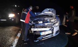 Mardin’de otomobilin çarptığı at telef oldu