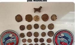 Mardin’de tarihi eser operasyonu: 45 sikke ve hayvan figürlü heykel ele geçirildi