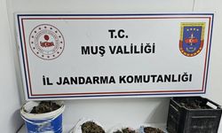 Muş’ta uyuşturucu operasyonu