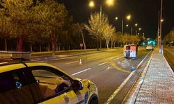 Önüne köpek çıkan araç yan yattı: 2 yaralı