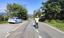 Ordu'da bir haftada 11 binden fazla araç ve sürücüsü denetlendi