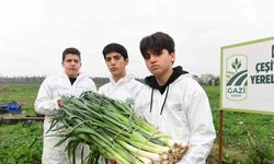 Osmangazi’de pırasa hasadıyla doğallık sofralara taşınıyor