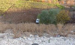 Otomobili görenler gözlerine inanamadı