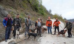 Samsun’da domuz alarmı: Avcılığa "takoz" engeli