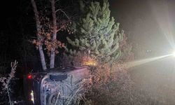 Şarampole uçan araçta bulunan 2 kişi yaralandı