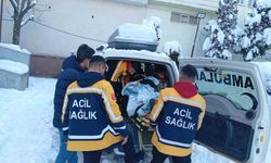 Siirt'te doğum sancısı tutan hasta, 5 saatlik çalışmayla hastaneye ulaştırıldı