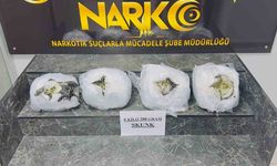 Şırnak’ta 6 kilo 200 gram skunk ele geçirildi
