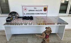 Şırnak'ta jandarmadan kaçakçılık operasyonu: 27 milyon liralık kaçak malzeme ele geçirildi
