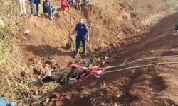 Tahliye kanalına düşen inek kurtarıldı