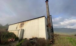 Tavuk çiftliğinde çıkan yangın korkuttu