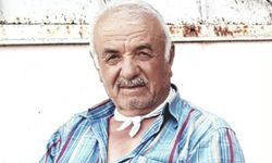 Traktörle tarla sürerken kafasını ağaç dalına çarpıp düşen çiftçi hayatını kaybetti