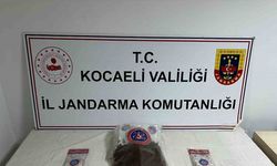 Uyuşturucu operasyonu: 2 gözaltı