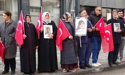 Vanlı annelerin evlat nöbeti 114’üncü haftasında