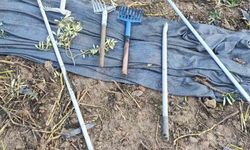 Zeytinleri dalından çaldılar