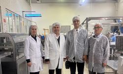 Bursa’da kestanenin geleceği ele alındı