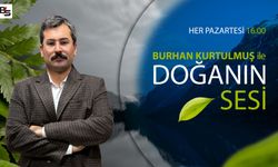 Doğanın sesi Bursa Saati’nde yankılanacak