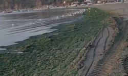 Bursa’da Eşkel sahili için vatandaş isyanda: Üvey evlat muamelesi görüyoruz