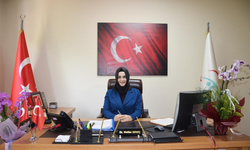 CHP’li Pala’dan Bakana başkanlık makamından kaldırılan Atatürk portresini inceleme çağrısı