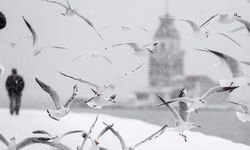 İstanbul'a kar geliyor