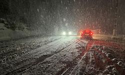 Kar yağışı 17 yolu ulaşıma kapattı