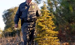 Kaçak ağaç kesimine karşı ormanlar 7 gün 24 saat korunuyor