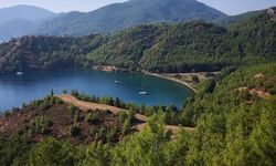 Çevre katliamı hız kesmiyor!