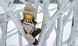 Türkiye'nin en dondurucu şehri belli oldu: Termometreler -30'u gösteriyor!