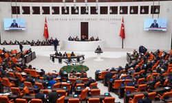 Çevre, Şehircilik ve İklim Değişikliği ile Tarım ve Orman bakanlıklarının bütçesi kabul edildi