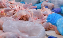 Türkiye'nin dev tavuk markası konkordato ilan etti